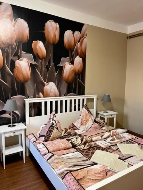Apartman Galerie Decin Eksteriør billede