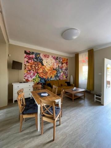 Apartman Galerie Decin Eksteriør billede